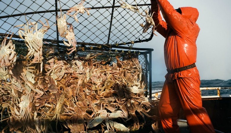 crab unloaded to boat