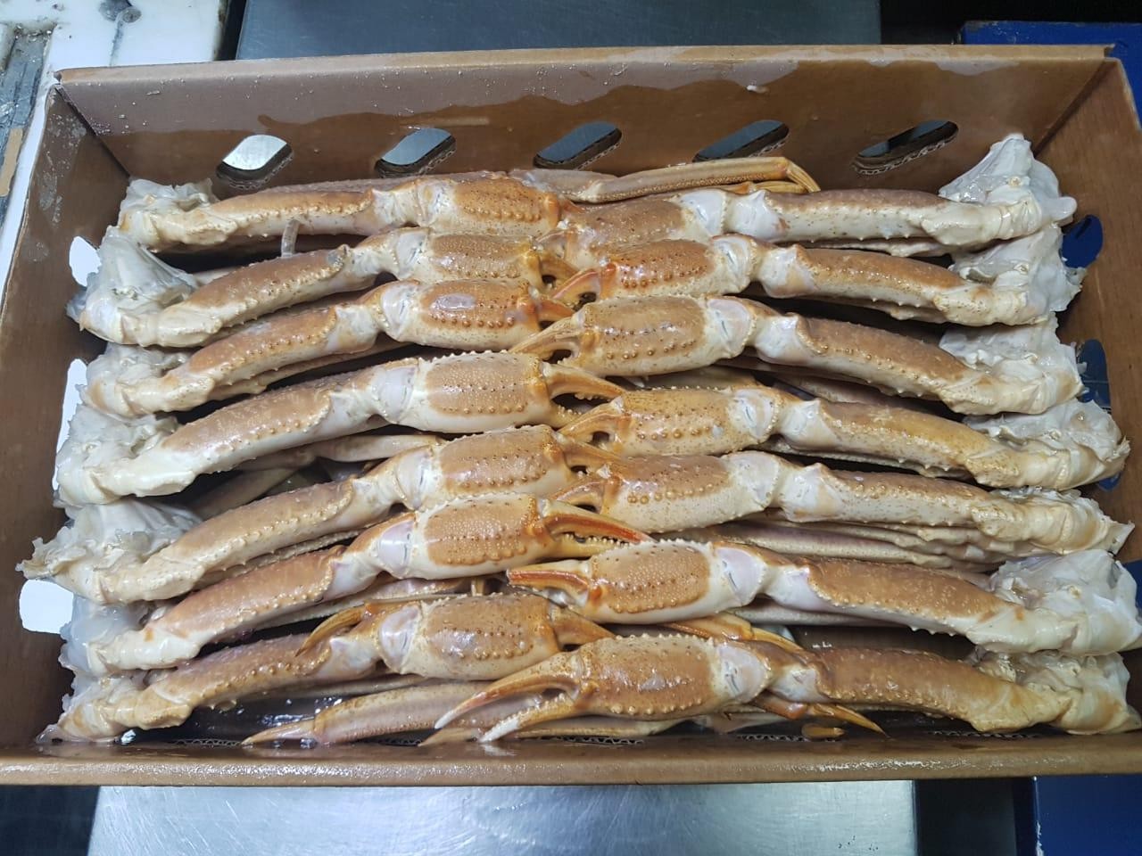 SNOW CRAB OPILIO SECTIONS RAW FROZEN